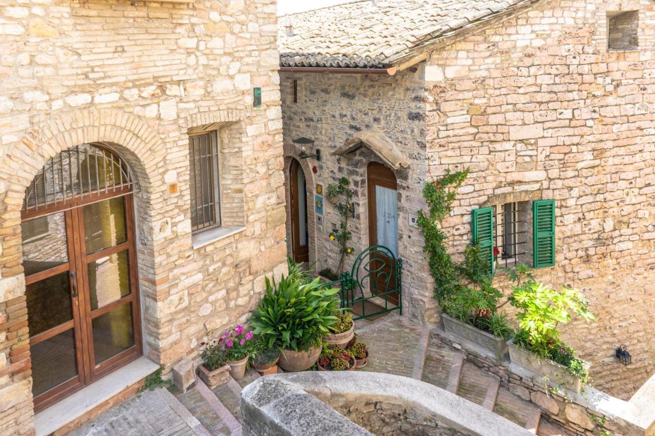 La Viola Di Assisi Otel Dış mekan fotoğraf