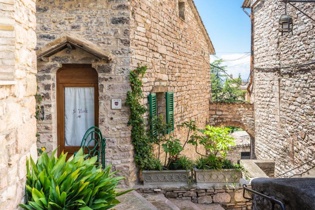 La Viola Di Assisi Otel Dış mekan fotoğraf