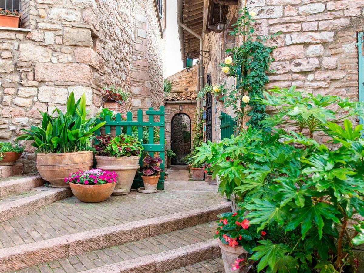 La Viola Di Assisi Otel Dış mekan fotoğraf